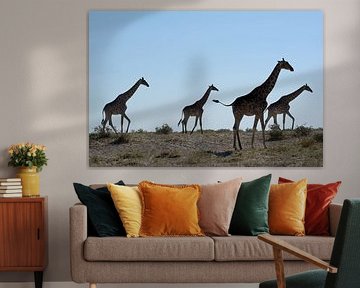 GIRAFFES 1 by Miroslav Ptacek