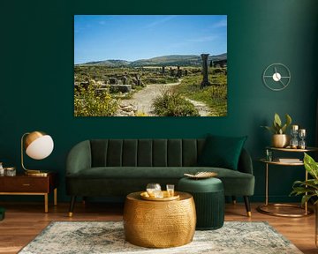 Volubilis in Marokko von Patricia Hofmeester