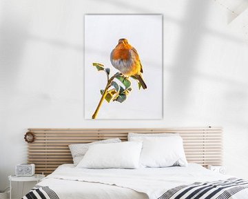 Rouge-gorge familier