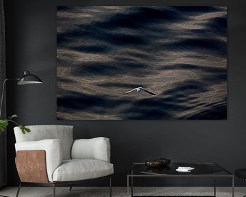 ACROBATS 2 by Miroslav Ptacek