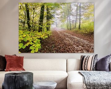 Der sanfte Abschied des Jahres von Walter G. Allgöwer