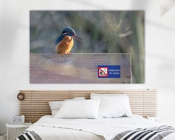 Kingfisher the fisherman by Lies Bakker