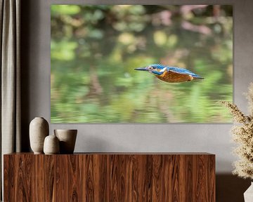 kingfisher in flight by Lies Bakker