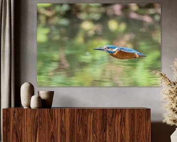 ijsvogel in vlucht van Lies Bakker