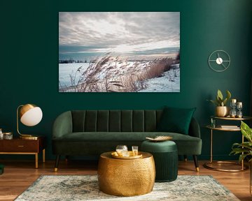 Hiver sur Laura Pronk