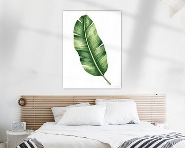 Stille botanica – bananenblad in het wit