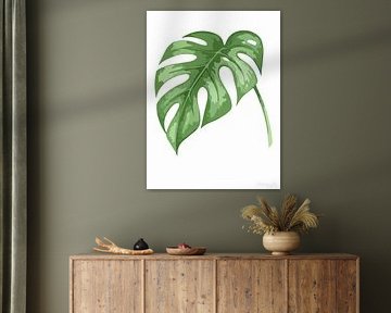 Tijdloze flora: monsterblad in het wit