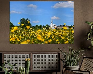 Un champ de fleurs sauvages sur Claude Laprise