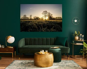 Ruhr near Hattingen, Ruhr area, North Rhine-Westphalia, Germany