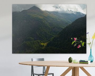 Landschaft an der Großglockner-Hochalpenstraße von Alexander Ließ