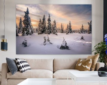 Tellement beau dans le Harz sur Steffen Henze