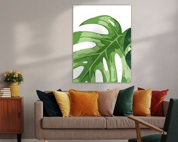 Monstera auf Weiß als Triptychon (1 von 3)