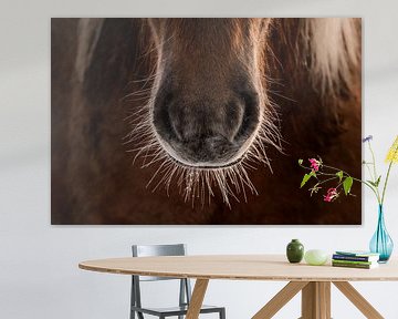 Horse Muzzle in Detail Intimate Texture of Nature by Femke Ketelaar