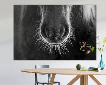 Muzzle de cheval en noir et blanc Pureté du détail sur Femke Ketelaar