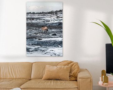 Horse in Winter Landscape Freedom in the Cold by Femke Ketelaar