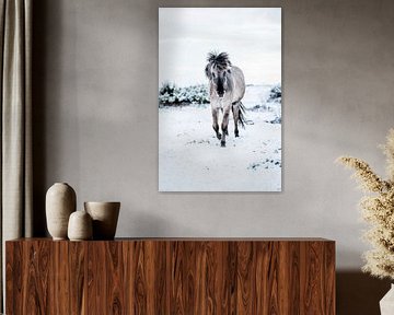 Horse in Snowy Landscape Elegance in White by Femke Ketelaar