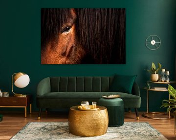 Œil de cheval Crinière arrière Profondeur Douceur et puissance en point de mire sur Femke Ketelaar