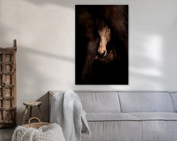Cheval dans l'ombre, protégé par le silence sur Femke Ketelaar