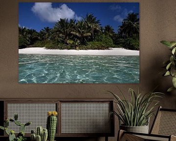 MALEDIVEN 2 von Miroslav Ptacek