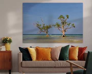 Mangrove bomen in het water. van Jos Pannekoek