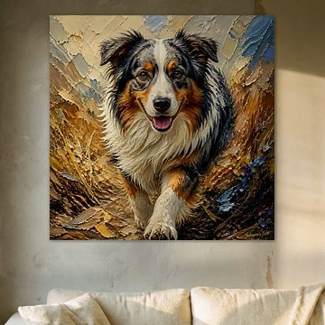 Australischer Schäferhund