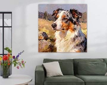 Australian Shepherd dog