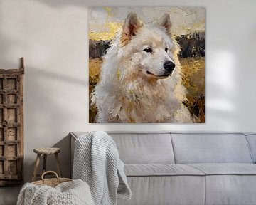 Samoyed