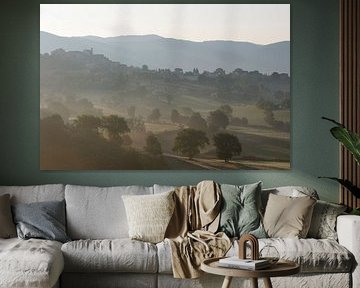 Nebel und Morgensonne in den Hügeln rund um Cantalupo, Italien