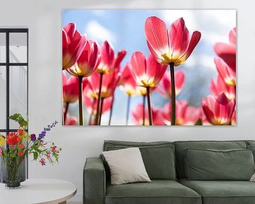 Tulipes roses sur Flowers by Ceciel