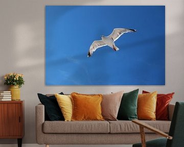 Fliegende Möwe über dem Meer