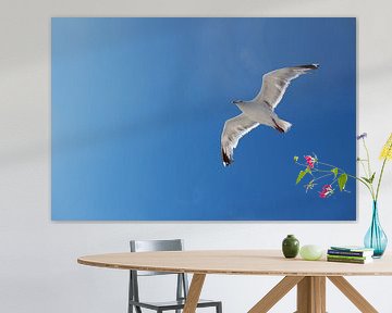 Gefühl der Freiheit – Möwe am blauen Himmel