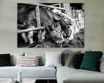 Genneper Hoeve, Eindhoven In Focus by Jos Crooymans