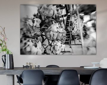 Nacho Carbonell, Eindhoven en gros plan sur Jos Crooymans