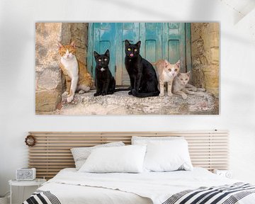 Fünf Katzen posieren zusammen von Katho Menden