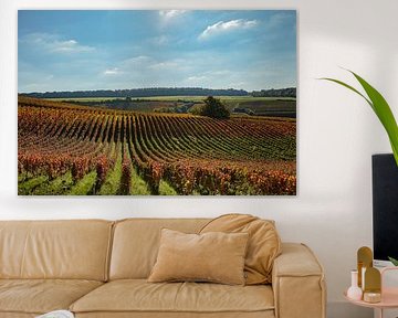 Champagner die Weinberge von anne droogsma