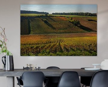 Weinberge in der Champagne von anne droogsma