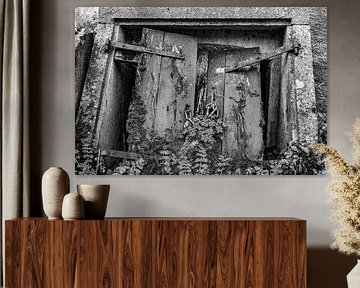 contrasting transience by anne droogsma