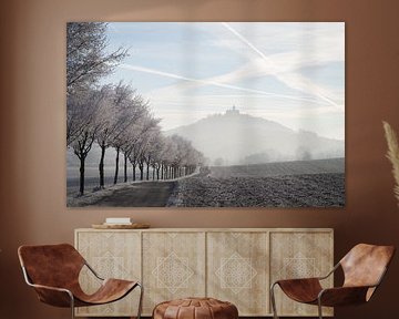 Winter avenue: Wachsenburg Castle cloaked in hoarfrost