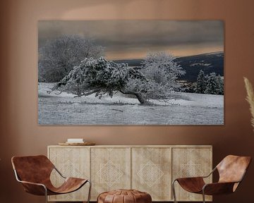 Krummes Ding von Andre Michaelis