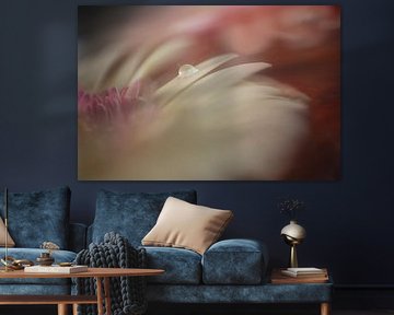 Blume & Wassertropfen von Perspective