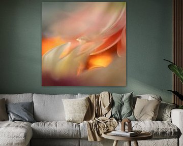 Tropfen auf Blütenblatt von Perspective