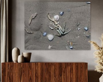 Sea creatures on the beach by Matthias Brix
