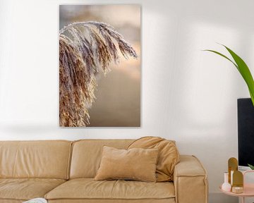 Frosty sign in the delicate light of morning by Christina Bauer Photos