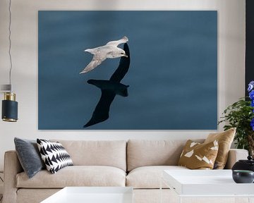 Zeilend over het water