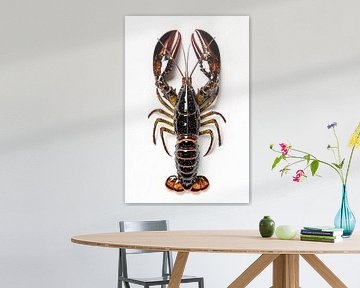 Noordzeekreeft van Bovenaf – Minimalistische Foodfotografie van Roger VDB