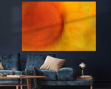 SALLES DE FLEURS 8 sur Miroslav Ptacek