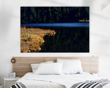 FORÊT BAVAROISE 3 sur Miroslav Ptacek