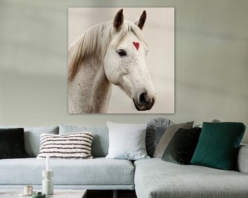 Cheval blanc avec un cœur rouge sur Vlindertuin-Art