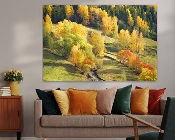 Kleurrijk herfstlandschap met loofbomen, heuvels en een beekje in de vallei van Martin Köbsch