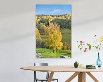 Kleurrijk herfstlandschap met felgele bomen en weiden onder een blauwe hemel